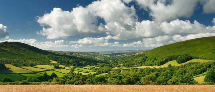 widecombe-summer